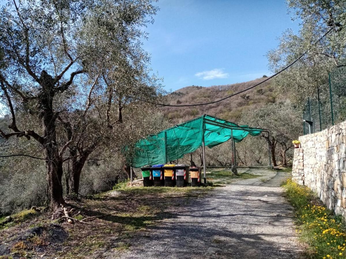 Agrisport Ca Di Cuni Lägenhet Roncagli Exteriör bild